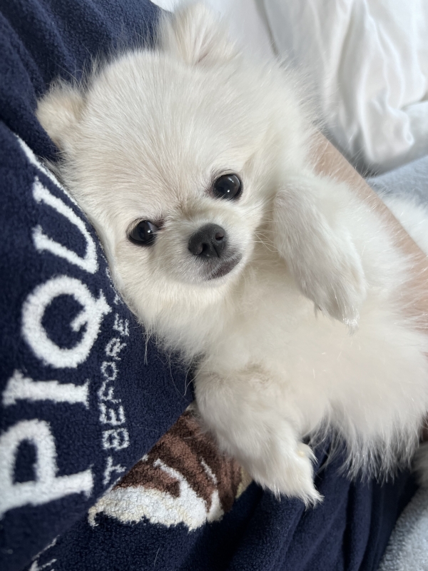 REN(レン) おはよー🐶🐾