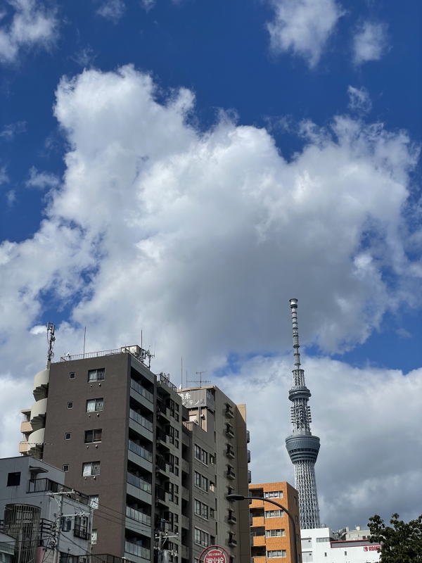 MATSURI(ﾏﾂﾘ) 錦糸町で待機中