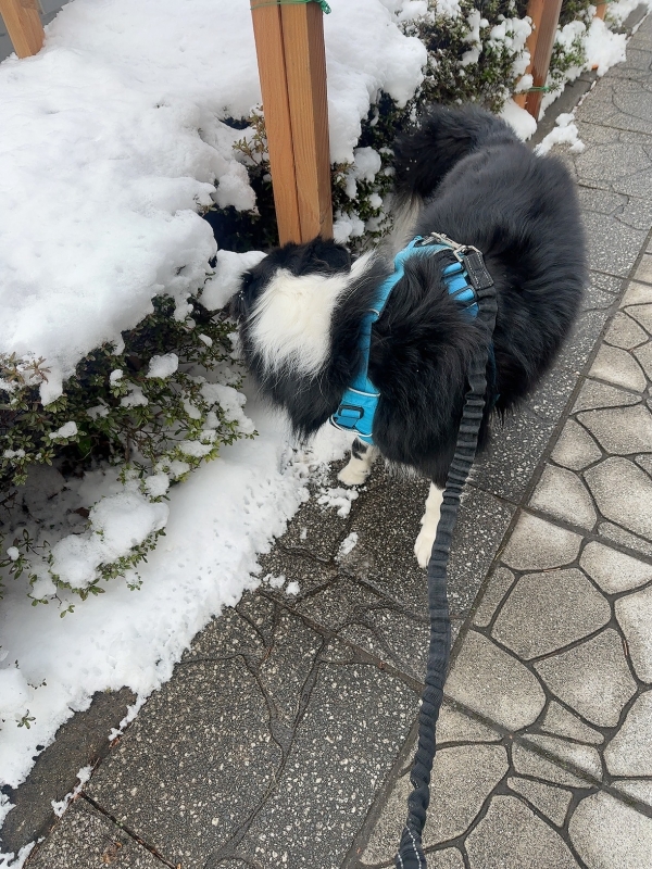 ATSUMU（ｱﾂﾑ） 絶対にやらないこと①