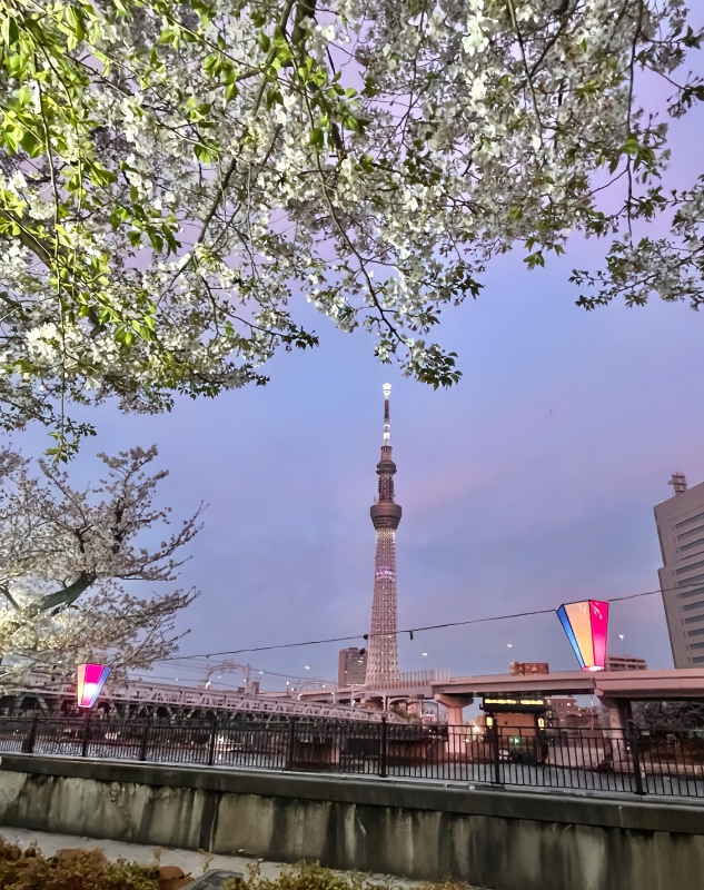 RINKO(ﾘﾝｺ) 知らない場所ってまだまだたくさんある