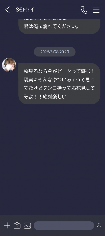 SEI(ｾｲ) 〚 桜×名案=花見=happy 〛