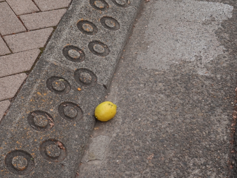 MASH(マッシュ) 用賀にれもんが落ちていた(?)