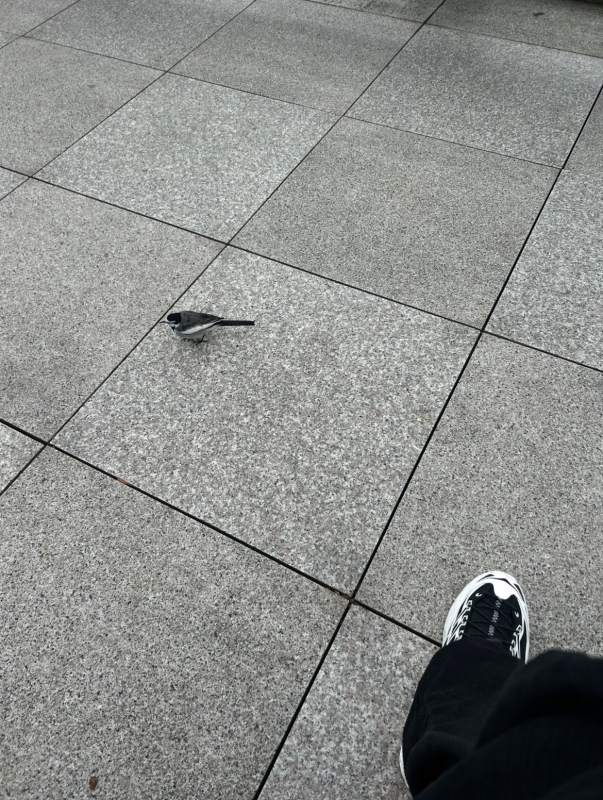 KONOSUKE(コウノスケ) ふーん、お前もぼっちじゃん