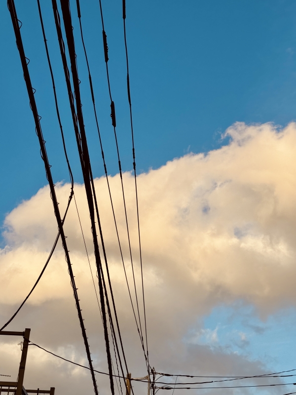 KOYOMI(ｺﾖﾐ) 【たまには上を】