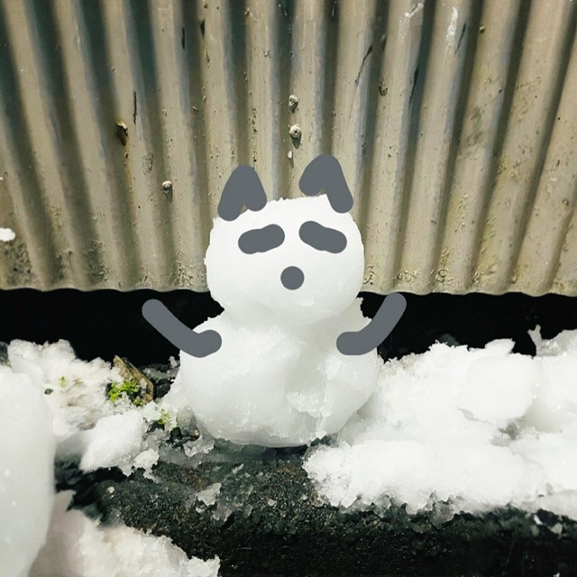 KAIYA（ｶｲﾔ） 雪と言えば⛄️