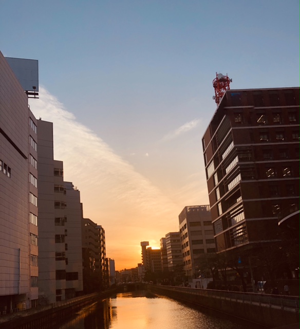 MAIRO（ﾏｲﾛ) 愛すべき横浜