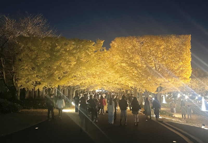 JOE(ｼﾞｮｰ) プロの技