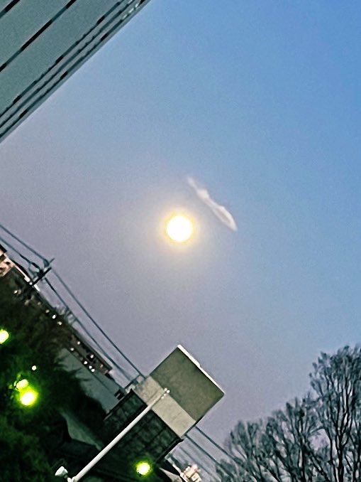 NINA（ﾆｲﾅ） 上を向いて歩こう