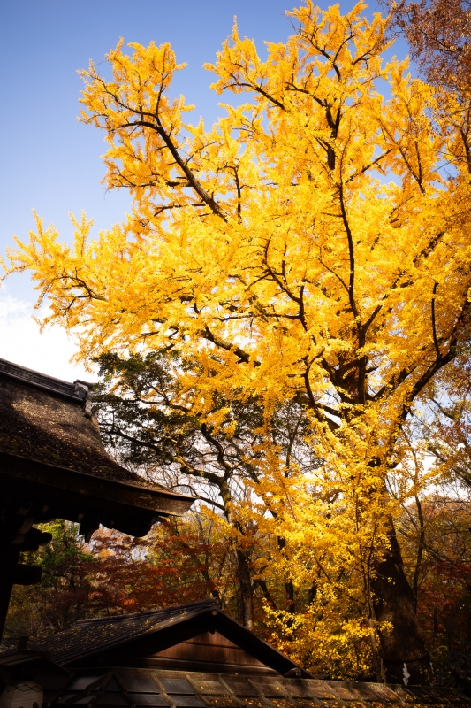 KANNA(ｶﾝﾅ) そう見えないらしい？