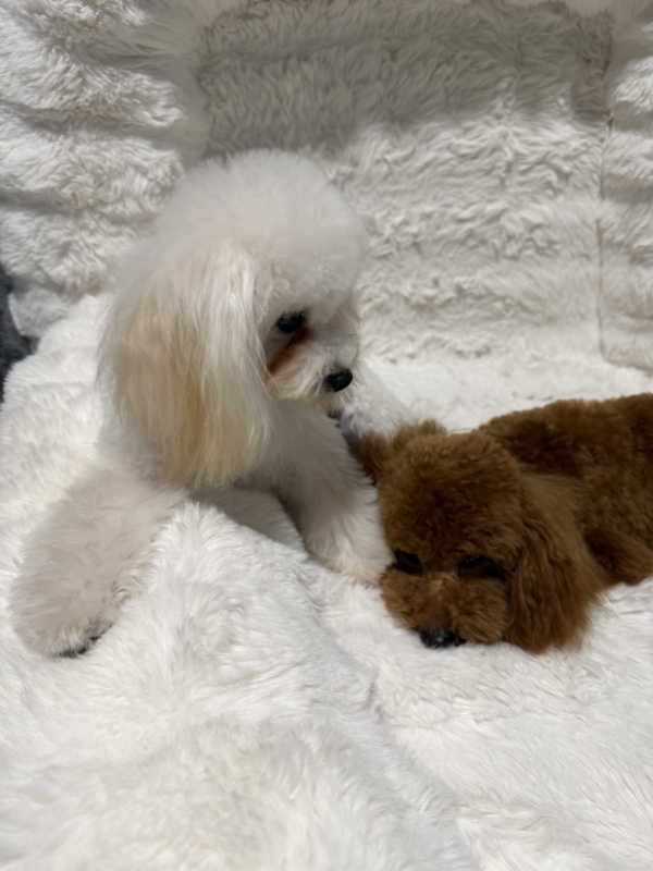 NANO(ﾅﾉ) お休み