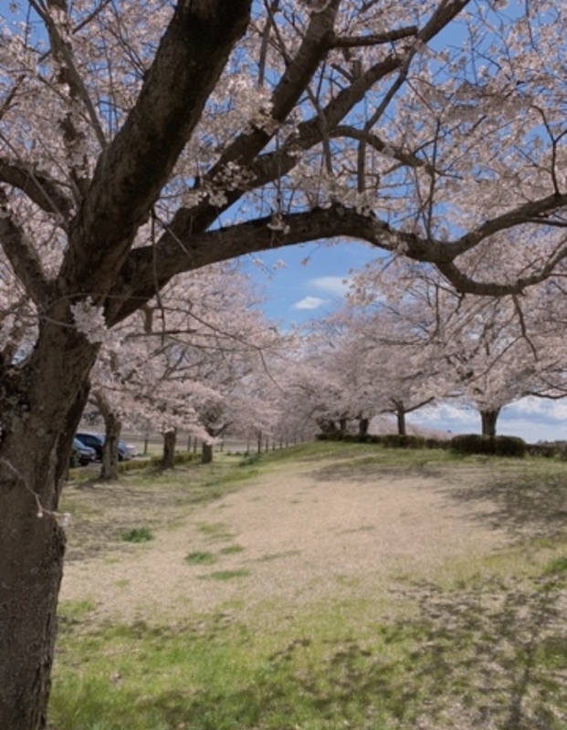 TAKAYA（ﾀｶﾔ） 出会いと別れ