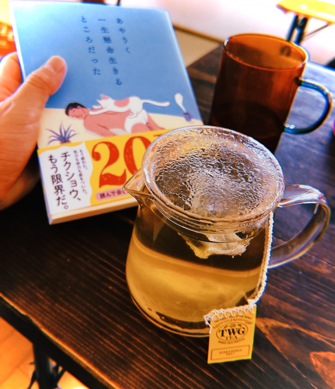 MOCHI（ﾓﾁ） チクショウ。