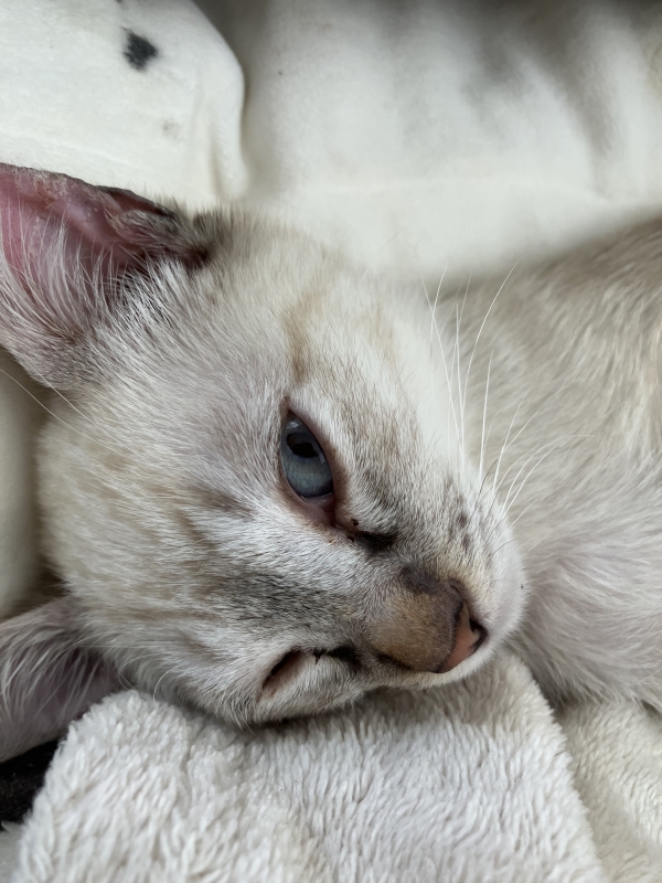 KEISUKE(ｹｲｽｹ) いつもお疲れ様です✨