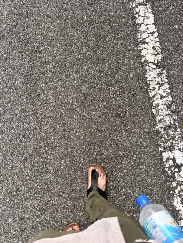 MUGI(ﾑｷﾞ) 朝散歩☀️