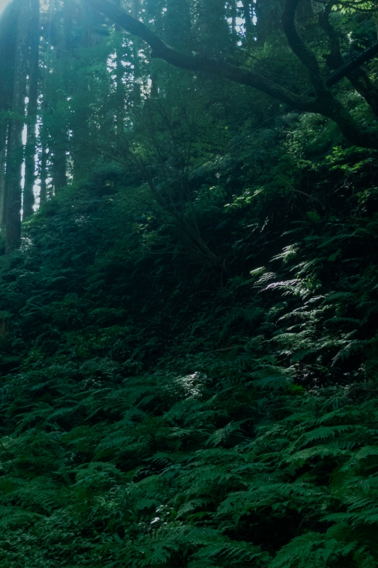 KANNA(ｶﾝﾅ) 感情と距離