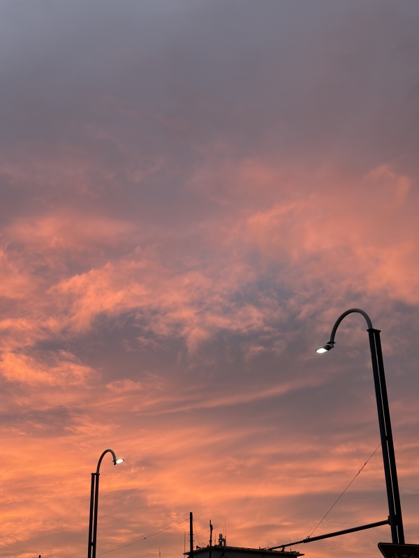 RUKIYA(ﾙｷﾔ) 花粉が大変DA‼️‼️‼️‼️‼️‼️