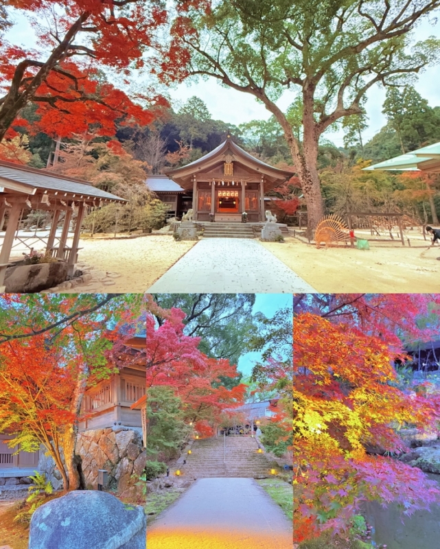 KENJI(ｹﾝｼﾞ) 3連休🍁