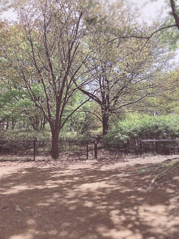 YUU(ﾕｳ) 居心地の良さ