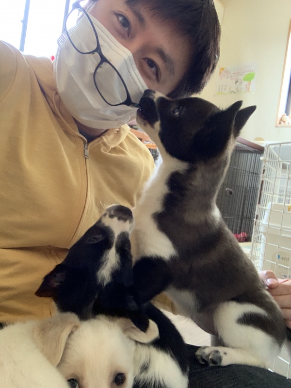 LUCA(ﾙｶ) 🐶保護犬ボランティアの昔話②〜ごはん〜