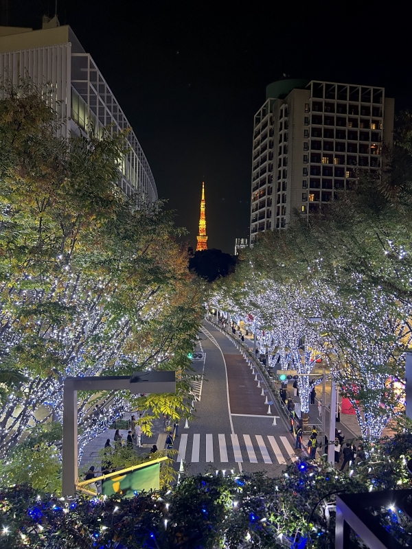 KONOSUKE(ｺｳﾉｽｹ) イルミネーション キレーデションどこでしょん