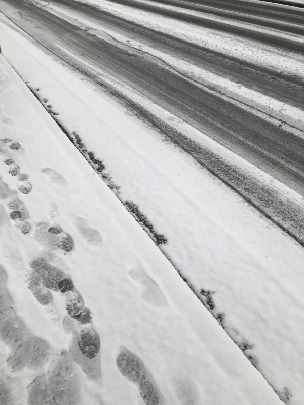 SEINA(ｾｲﾅ) 雪だ雪だ！