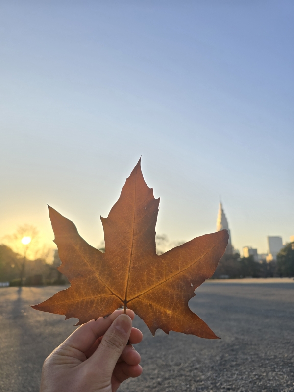 TOBARI(トバリ) 冬の空は好きですか?