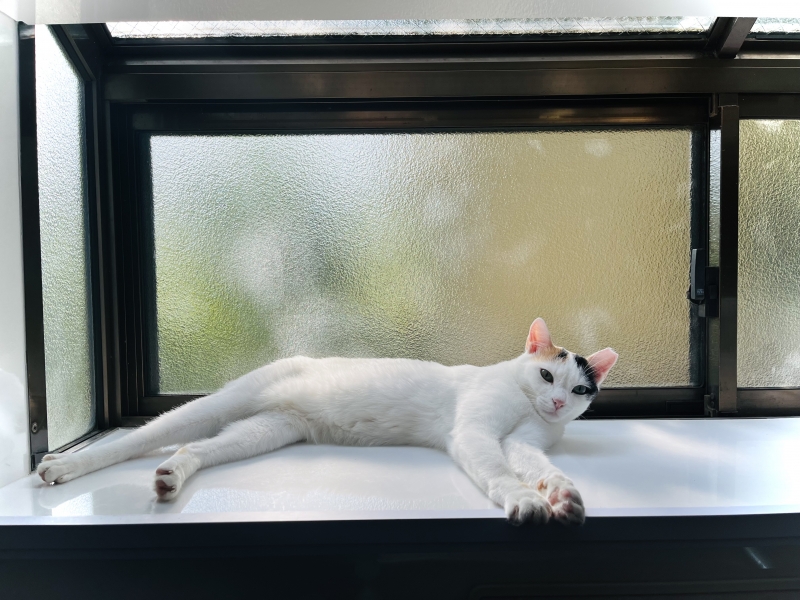 MOCHI（ﾓﾁ） どれだけ嬉しいことか。