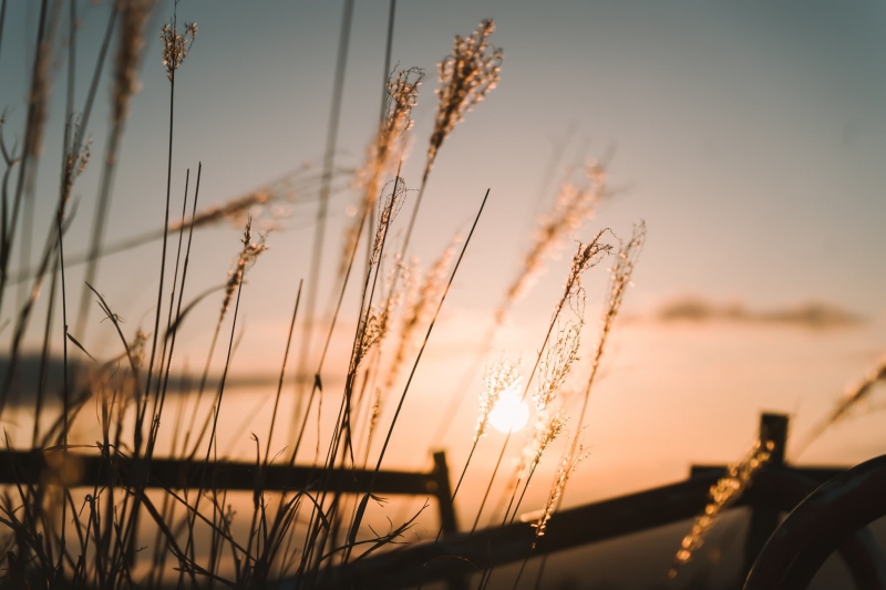 NEO(ﾈｵ) 心地よさは性感だけでは決まらない