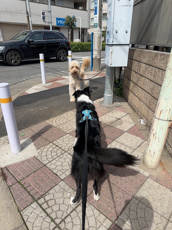 ATSUMU（ｱﾂﾑ） 生産性を突き詰めたい