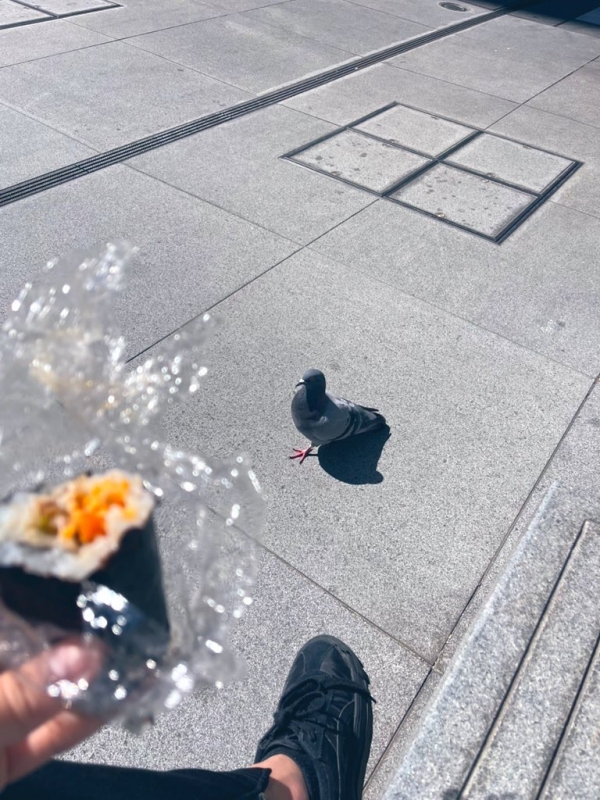 NINA（ﾆｲﾅ） お昼のこと