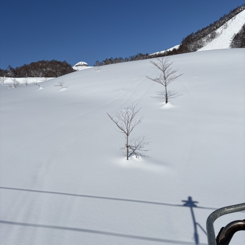 SOUP(ｽｰﾌﾟ) 雪すーぷ