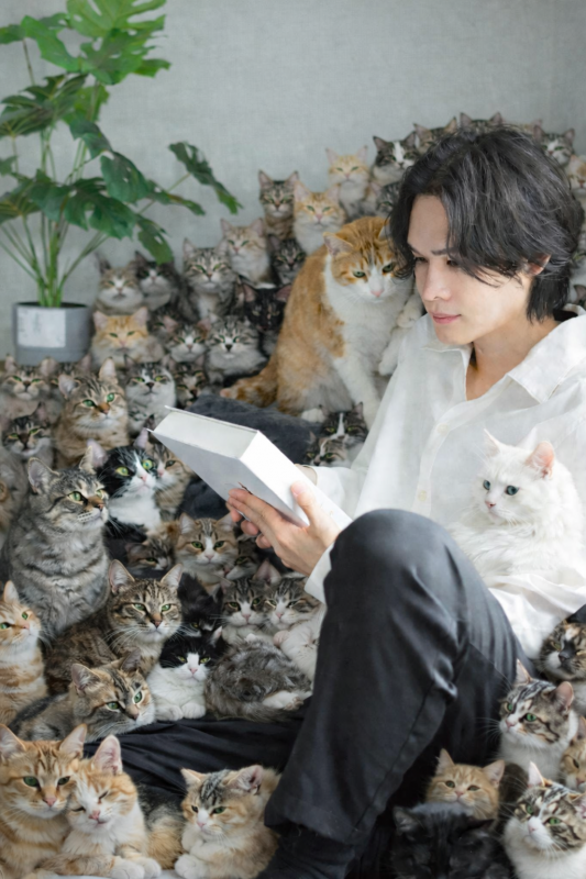 TORI(トオリ) ねこさんの日