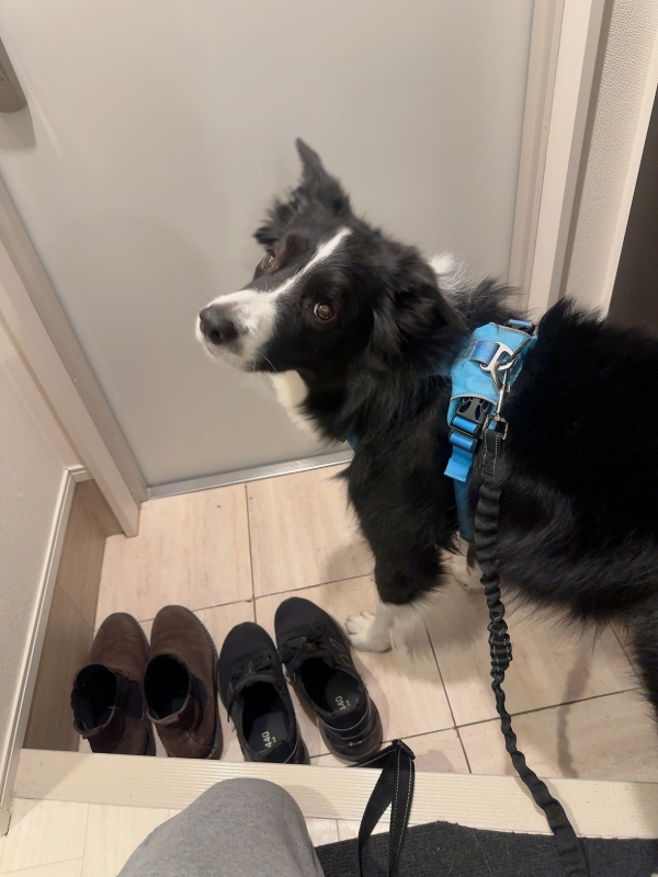 ATSUMU（ｱﾂﾑ） 1日の始まり