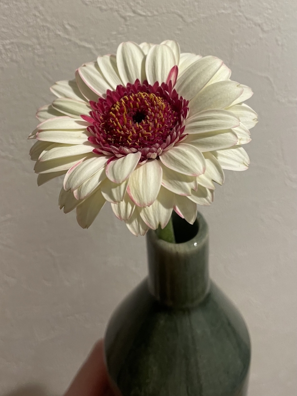 RITSU(ﾘﾂ) 希望,前向き,常に前進