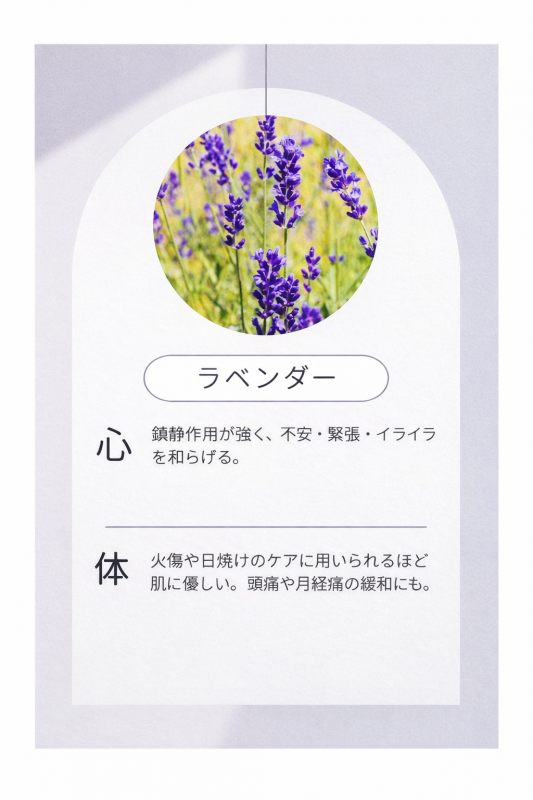 MIKURI(ﾐｸﾘ) ラベンダーちゃんについて