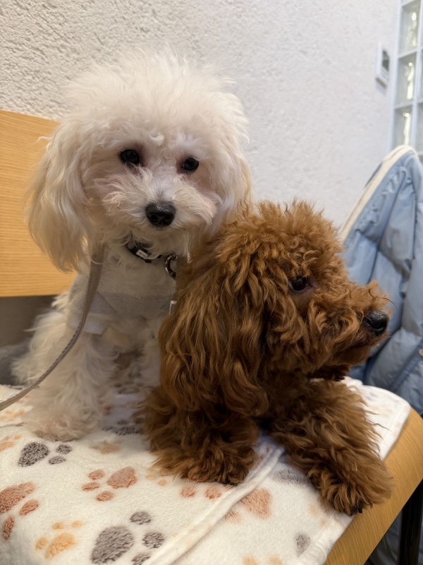 NANO(ナノ) お別れ