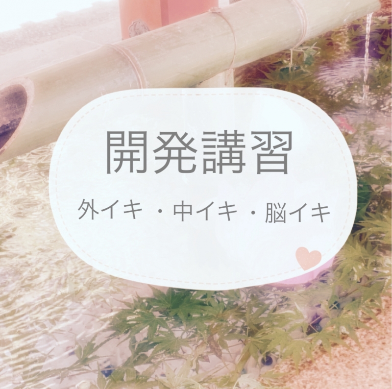 AOI(ｱｵｲ) 開発講習