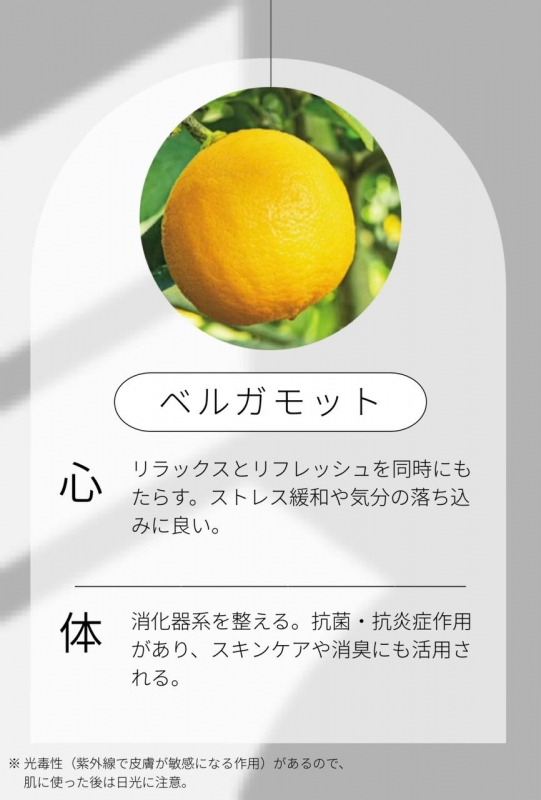 MIKURI(ﾐｸﾘ) ベルガモットちゃんについて