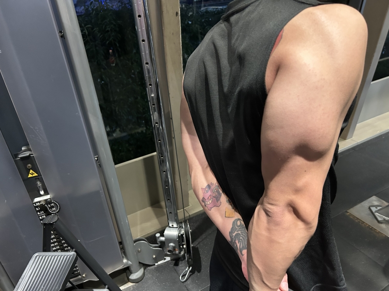 SUMERAGI(スメラギ) 💪