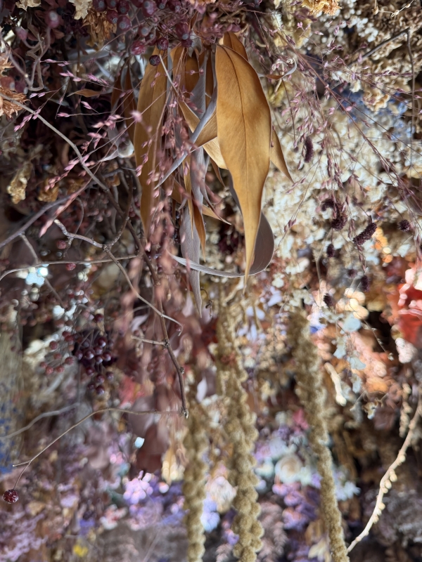 RYOICHIRO(リョウイチロウ) ありがとう