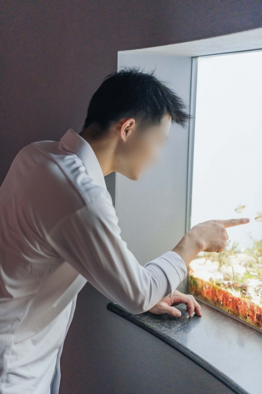 YOKKUN(ヨックン) スイッチ