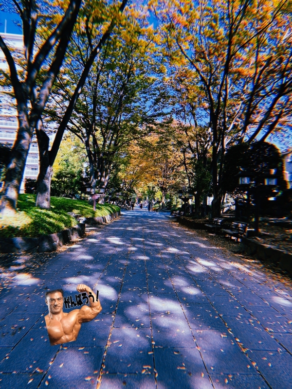 MOCHI(モチ) 強強強。