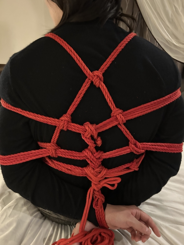 SUMERAGI(ｽﾒﾗｷﾞ) 後手縛り