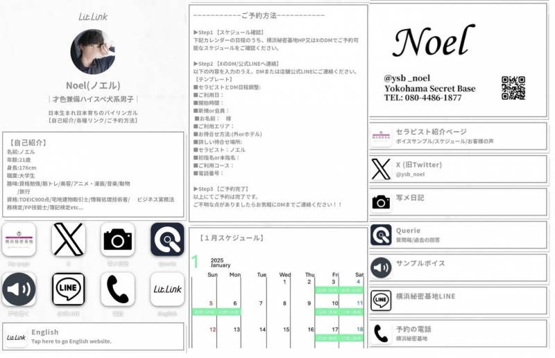 NOEL(ﾉｴﾙ) JP/EN 🎄僕のWebサイトを作りました！！🎄