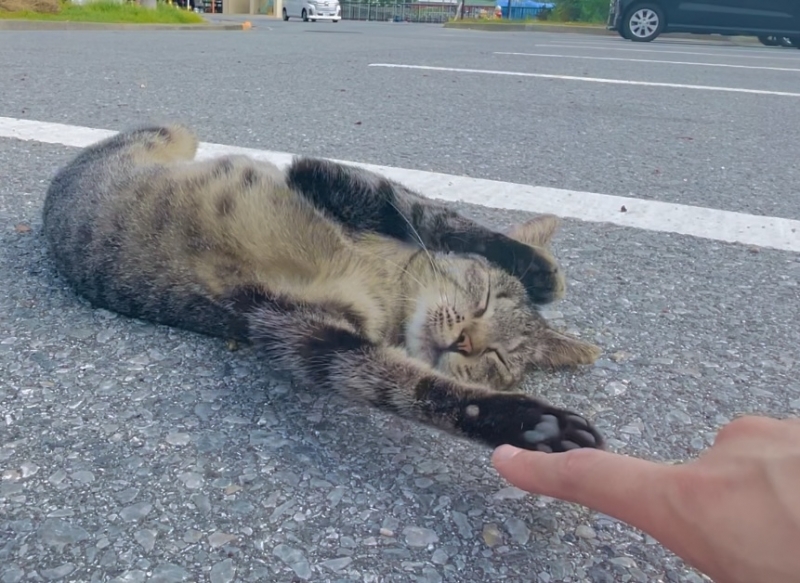 MINE(ﾐﾈ) 夏の思い出