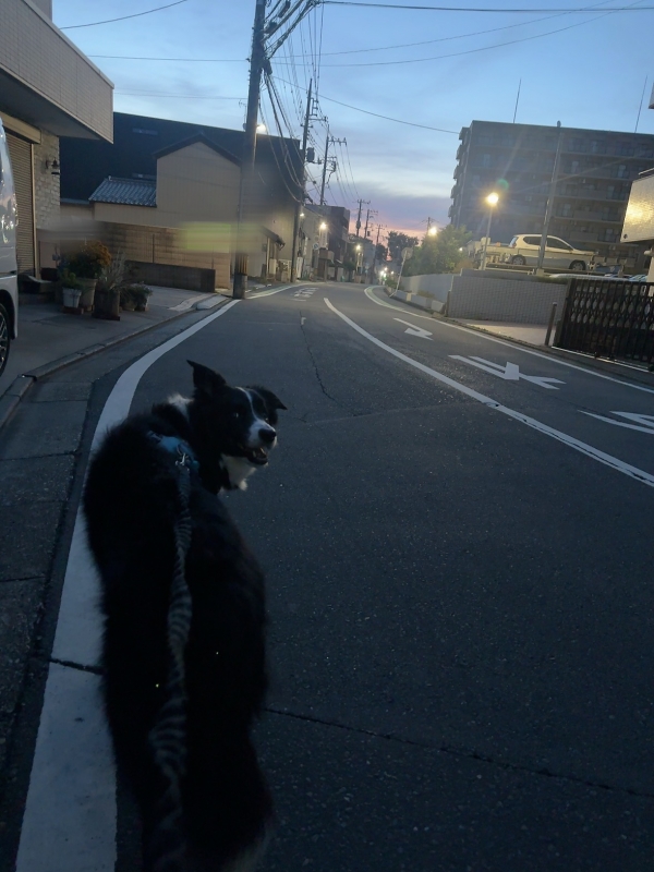 ATSUMU（ｱﾂﾑ） おはよ