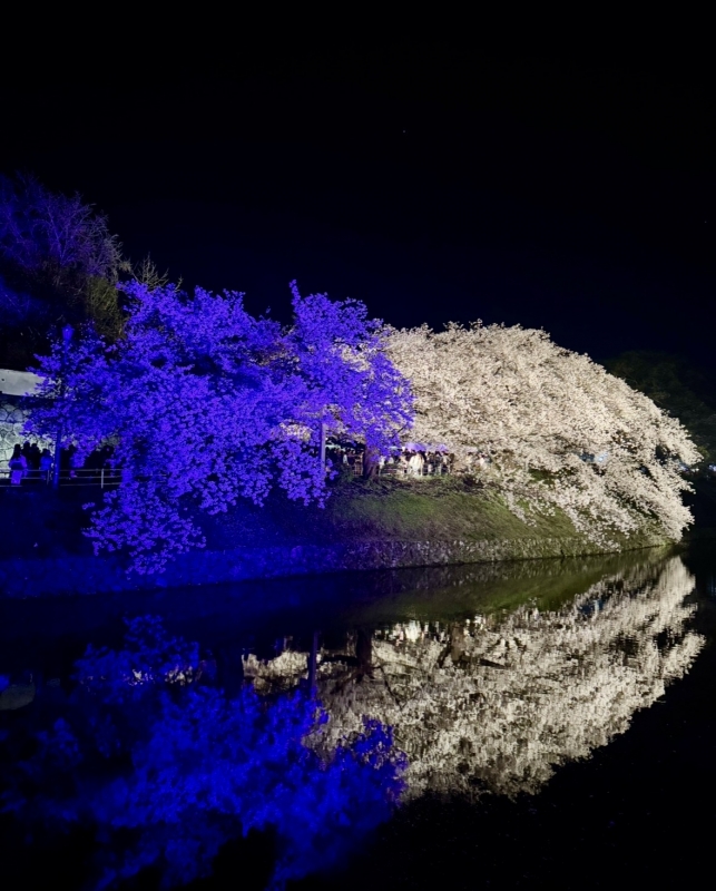 FNMIN（ﾌﾝﾐﾝ） 桜🌸