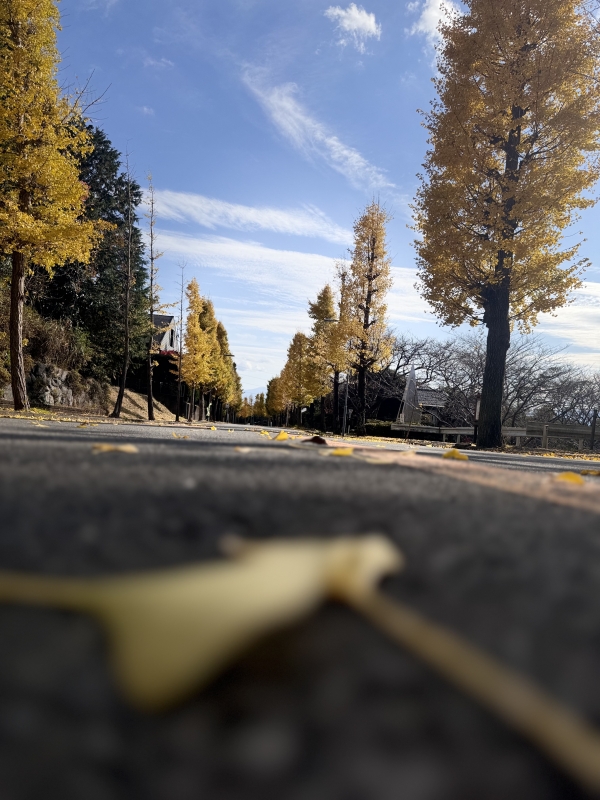 KAREN(ｶﾚﾝ) 本音