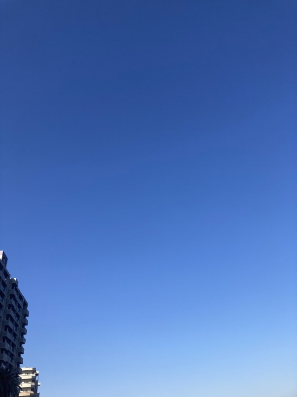 SOUTO(ソウト) 12月のはじまり❄️