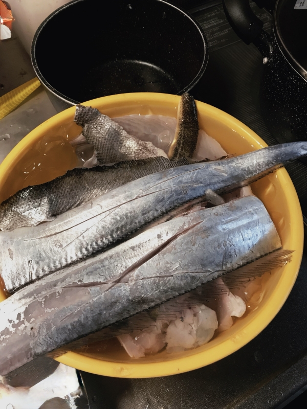 SHINGETSU(シンゲツ) 【実は魚、捌けます🐟✨】